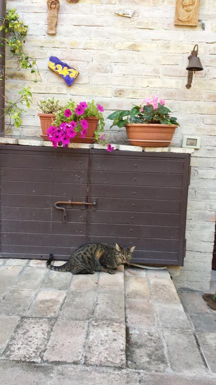 B&B La Casuccia Di Assisi Dış mekan fotoğraf