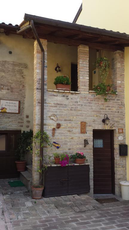 B&B La Casuccia Di Assisi Dış mekan fotoğraf